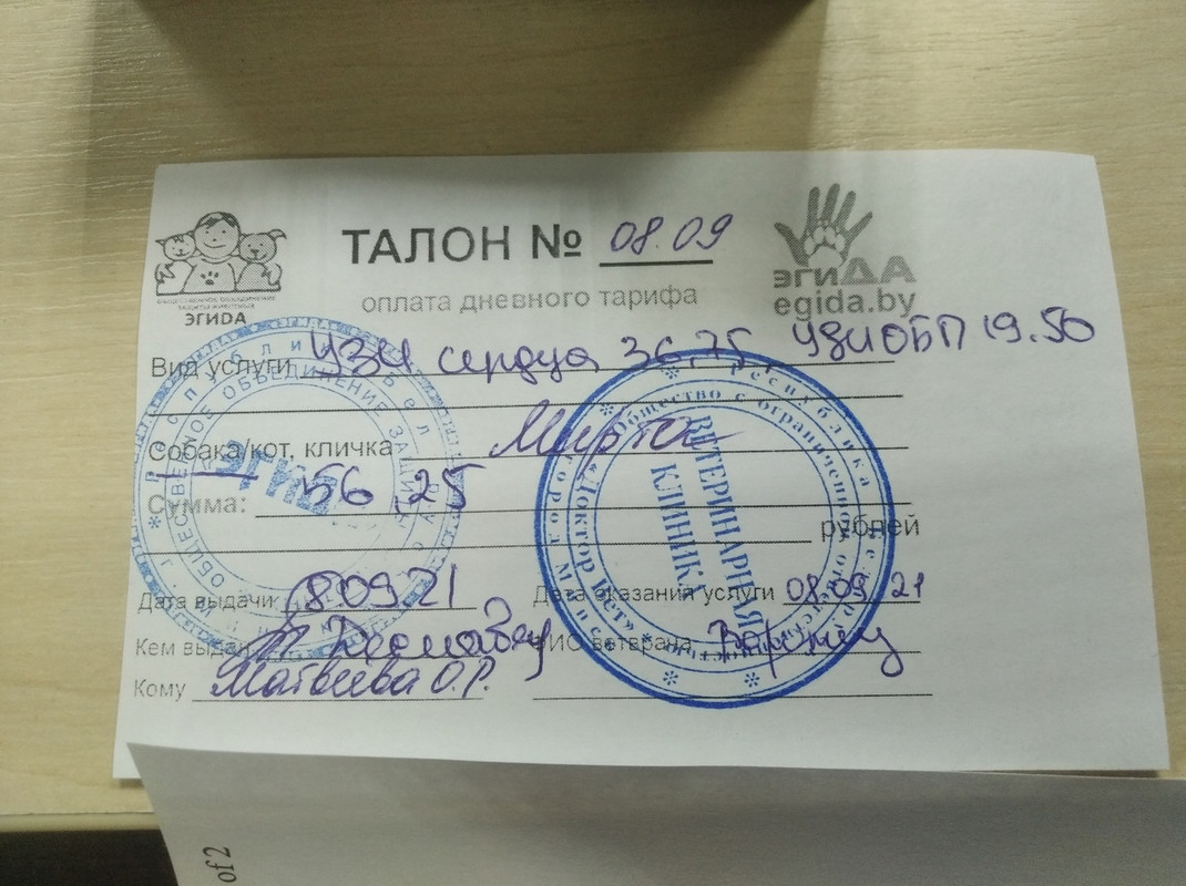 Талон на УЗИ сердца