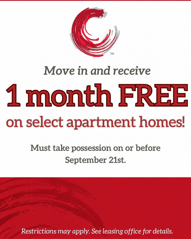Apartment Special