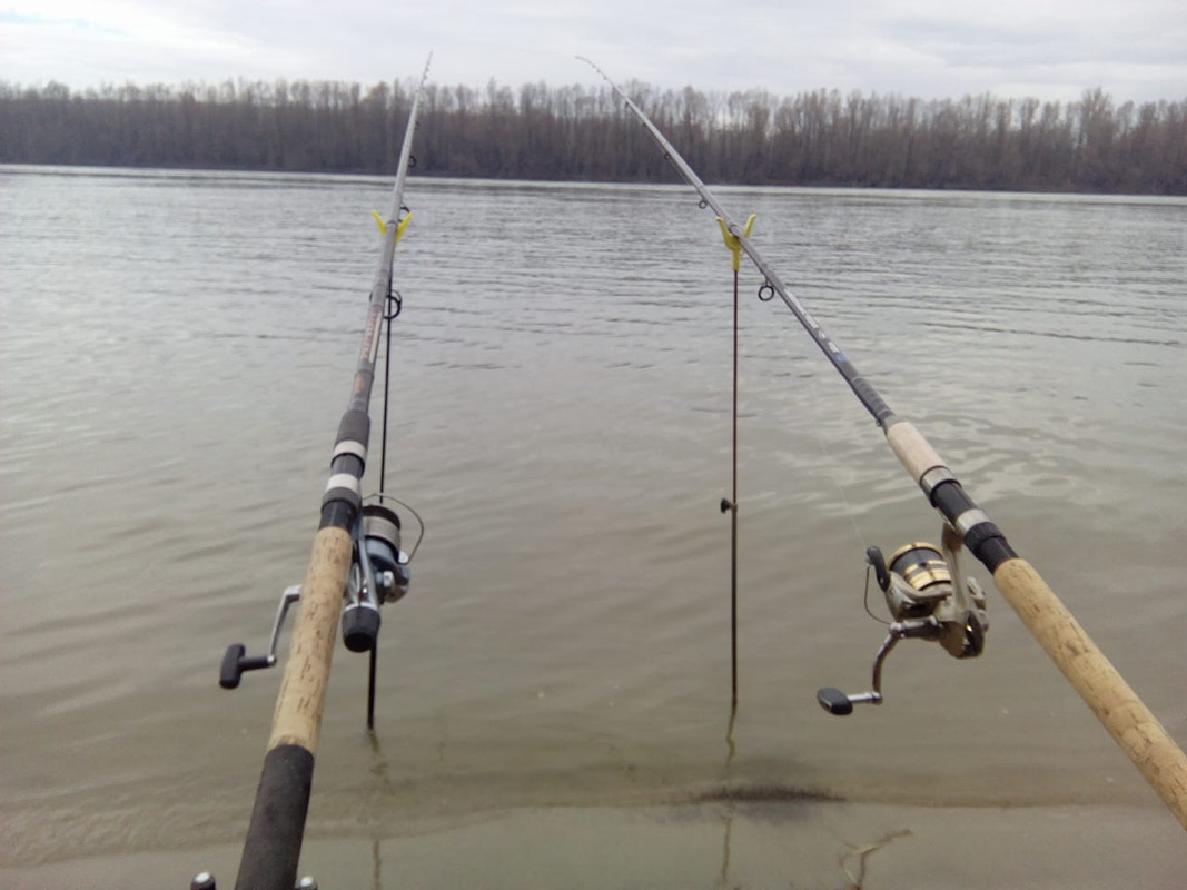 26236743_10215156679528555_1505446893_o