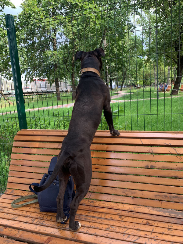 78104D51-EE76-4FB9-947F-46A30A1DEBC0