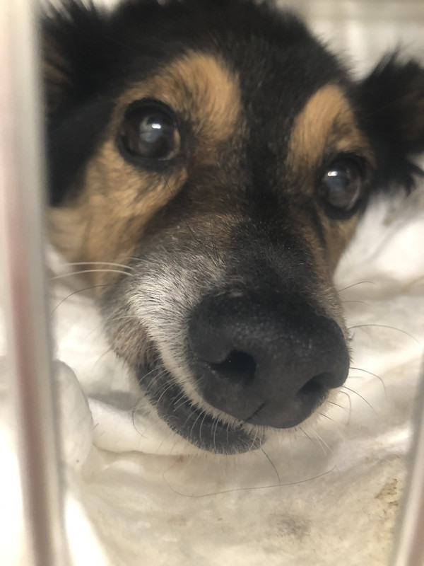 77ACAD03-FF8D-45FA-8918-1663983C6AFC