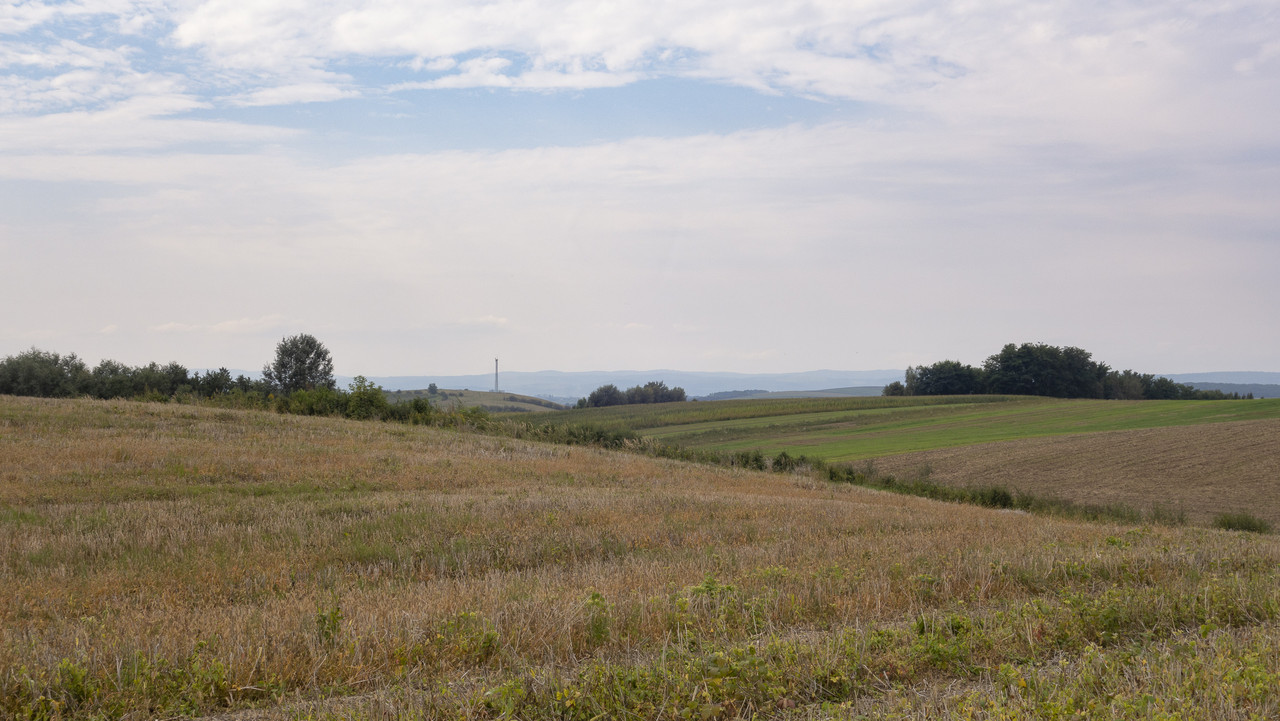 DSC04807.jpg