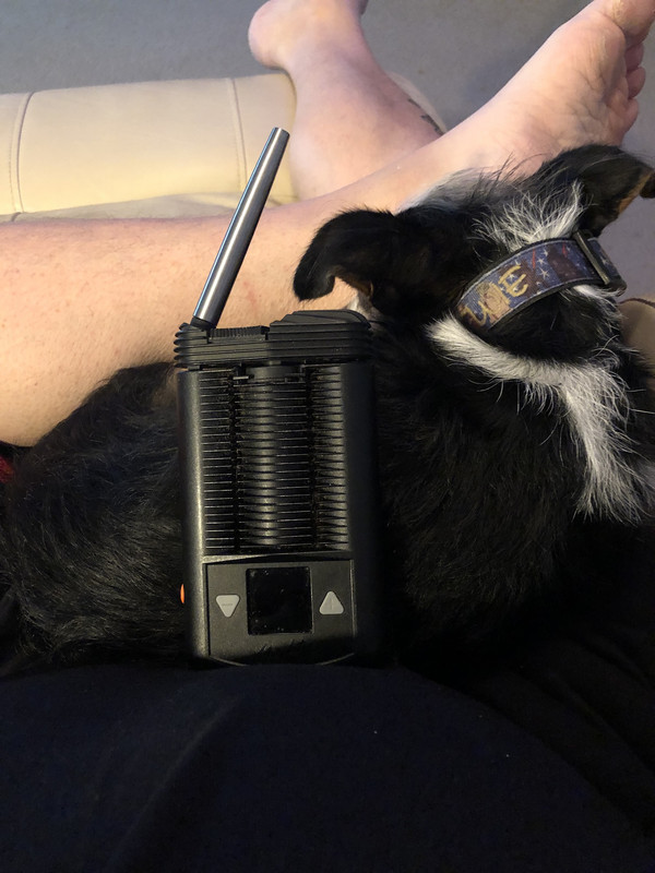 8BEB7569-9797-431B-9669-8643CF47E35E