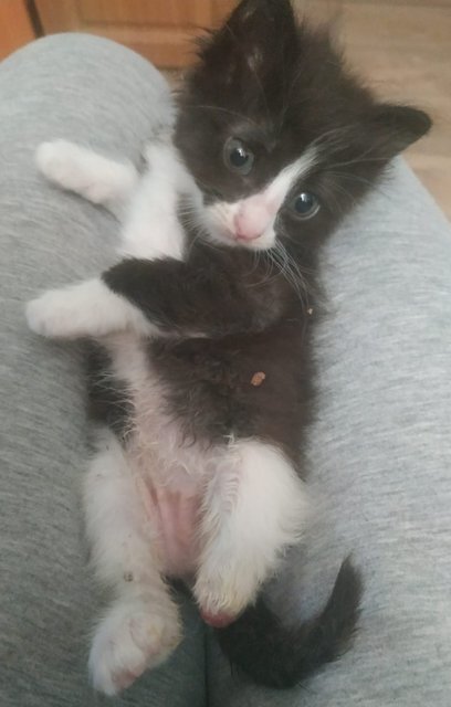 изображение_viber_2022-05-30_13-34-57-610