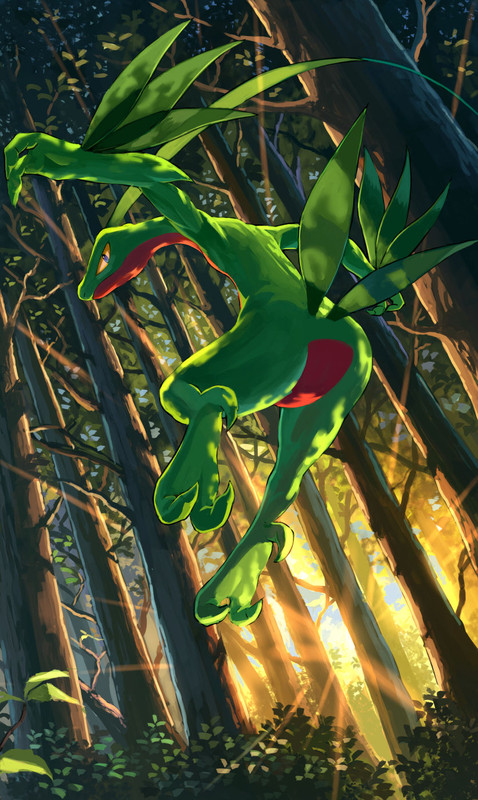 grovyle-pokemon-drawn-by-karamimame-d3be
