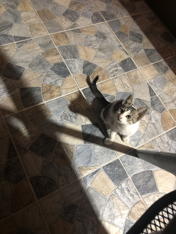 14ECAC3F-0BAC-4A79-9503-09AF835BB671