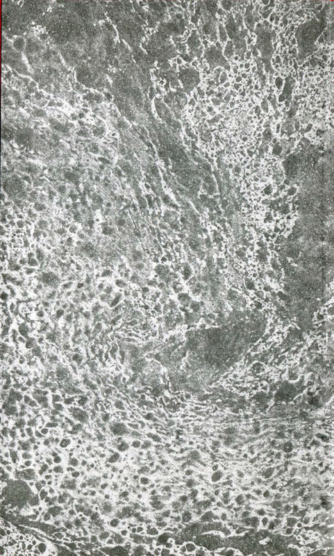 p0002