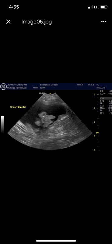 99D89C63-ADD6-4664-A747-788CC827D3CF