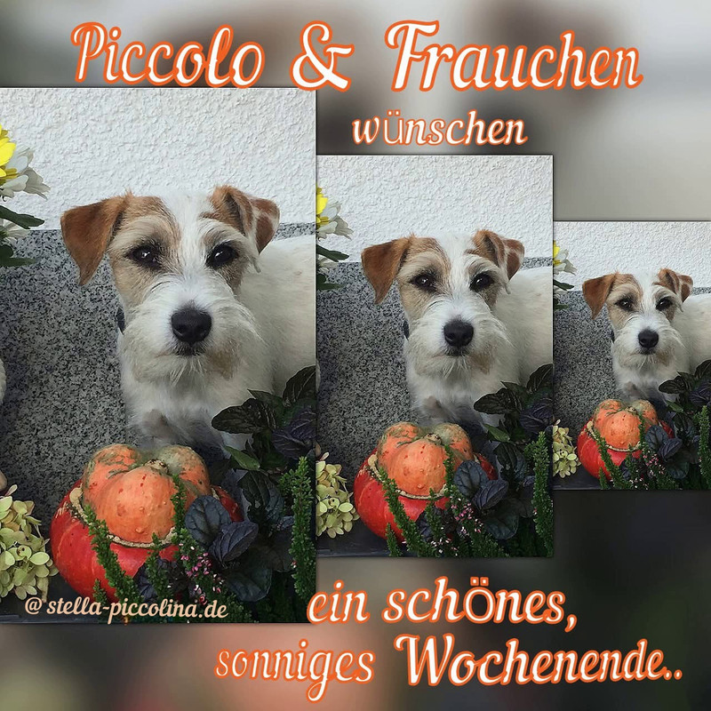 An den Beitrag angehängtes Bild: https://i.postimg.cc/65DQ57Fw/WOCHENSCHO-N-36.jpg
