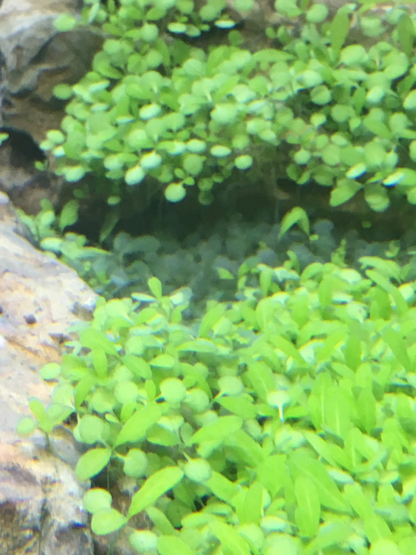 80DE030A-29A0-4D80-AC94-2C894763FCD9