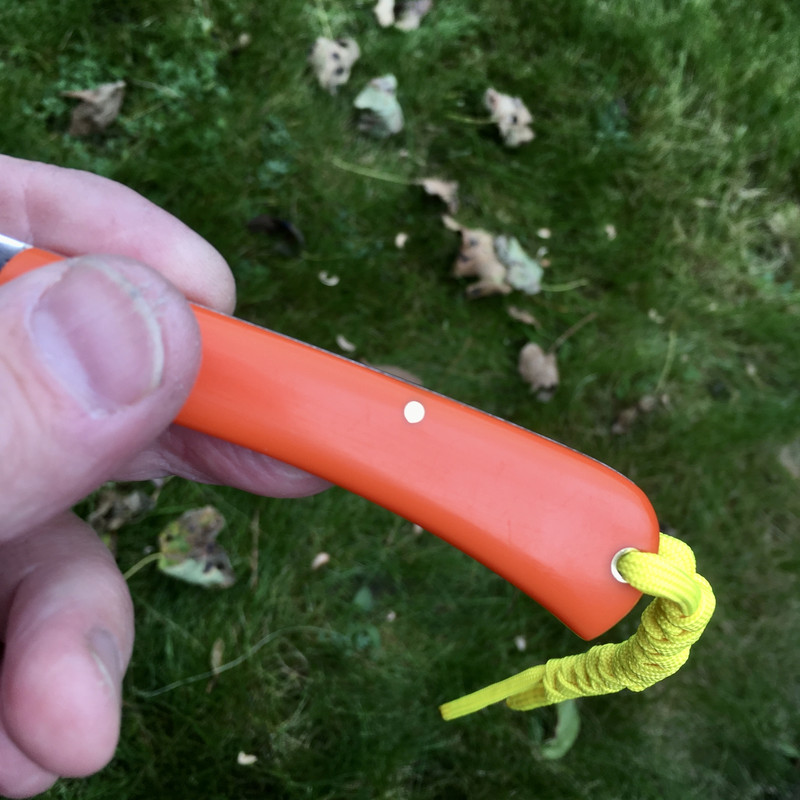 50C49883-89CC-45C2-BB91-0D663772D4D2