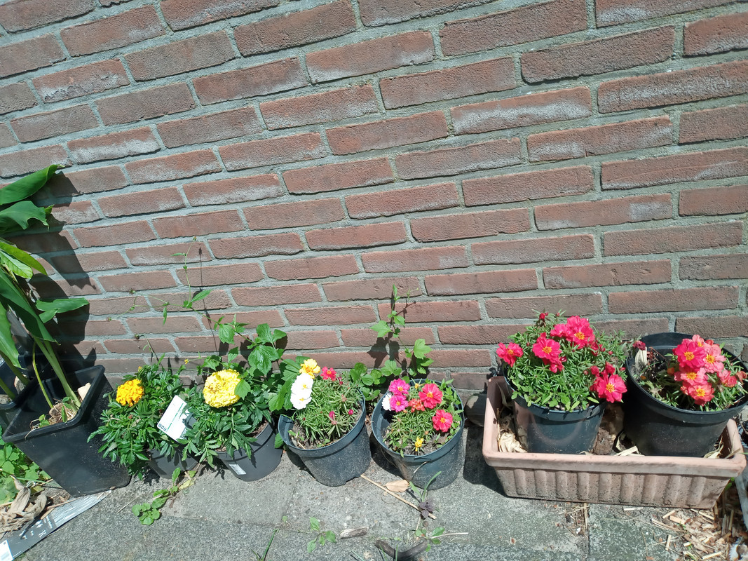 [Image: 20220603-144629.jpg]