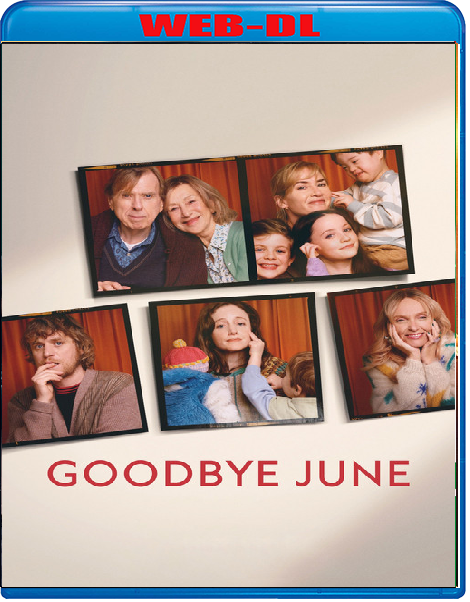 Goodbye June (2025) mkv FullHD 1080p WEBDL ITA ENG Sub