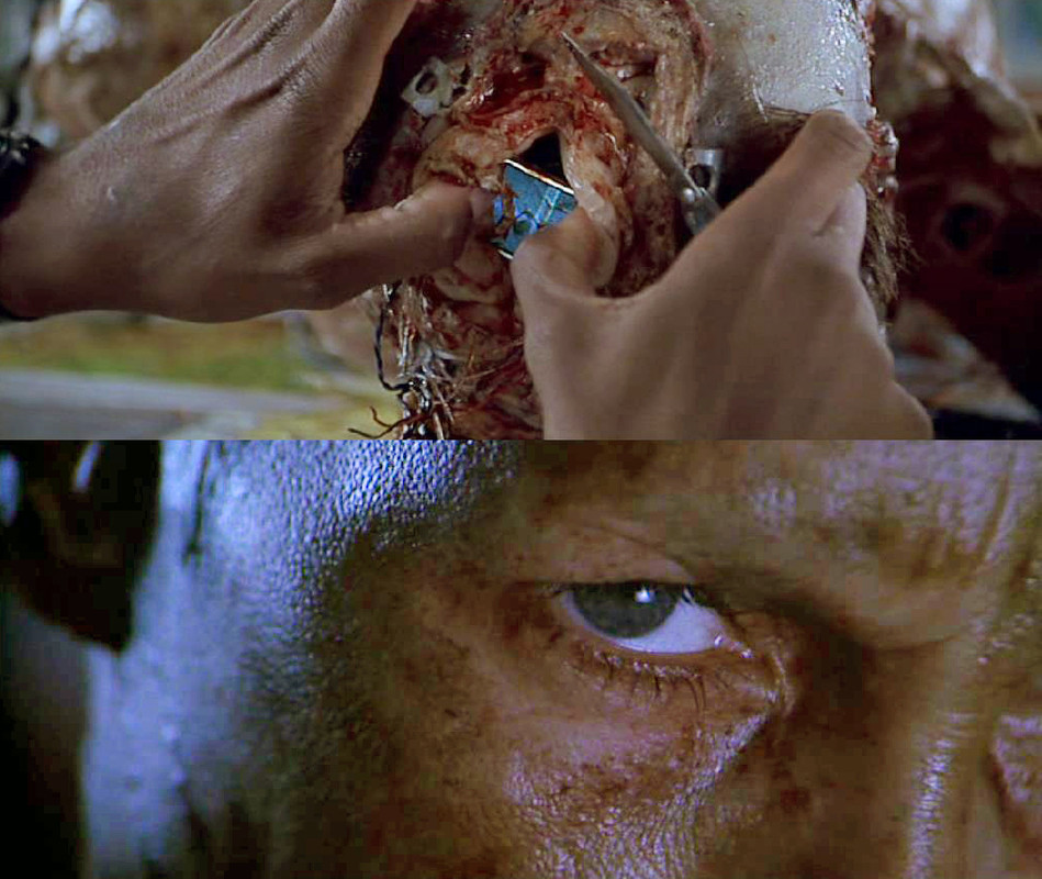 VIRUS 01 - Virus [1999] [Ciencia ficción, fantástico] [DVD5] [PAL] [Leng. ESP/ENG] [Subt. ESP/ENG]
