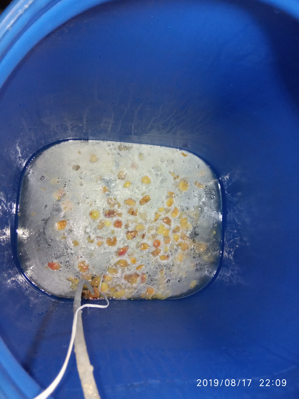 15660545532171530506819618858249