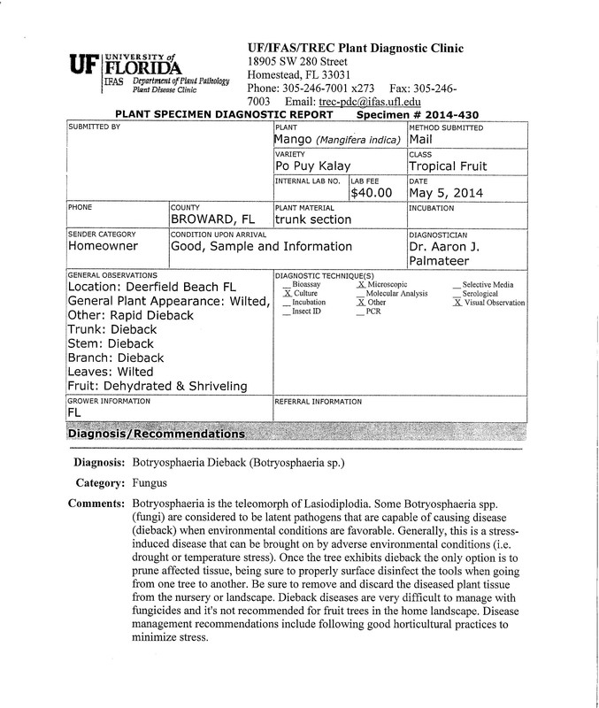 PPK disease - Page 1