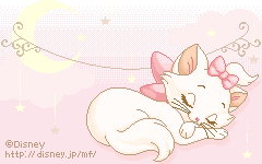 pink 501