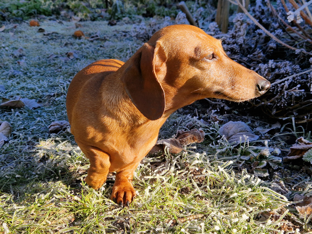 [Image: 20250101-113139-1.jpg]