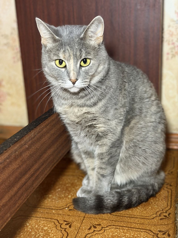 IMG 20251116 224800 616