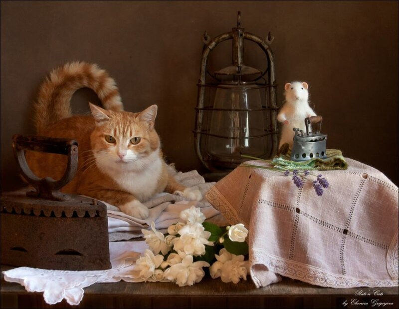 11209576-583441921759275-1255771835578622270-n