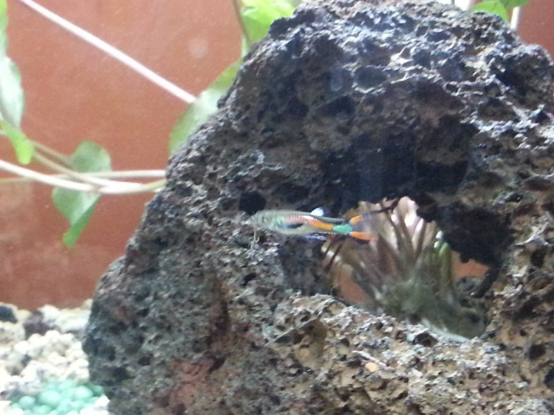 20130918_193153 (Copia)