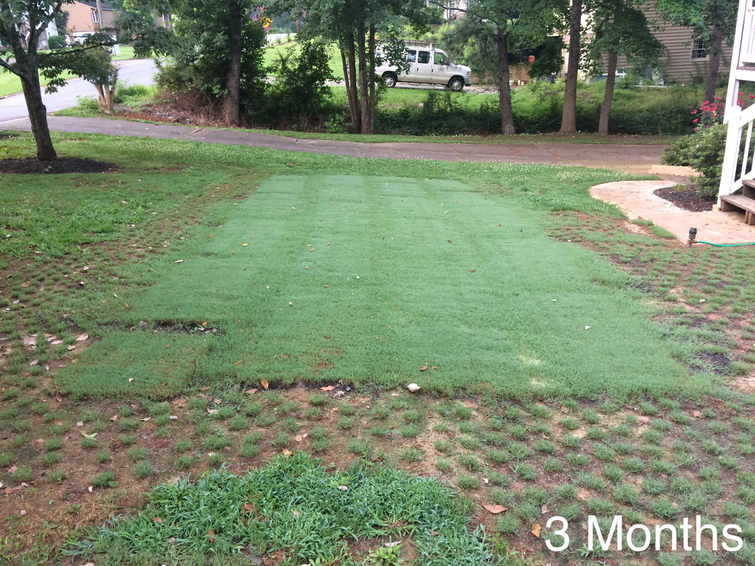 1A6183F8-FCF8-4A43-980D-2A1CC1C99702