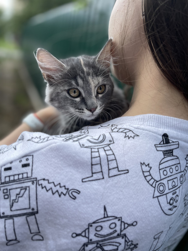 1ACF30BA-8806-4C53-825E-F44833E01DD6