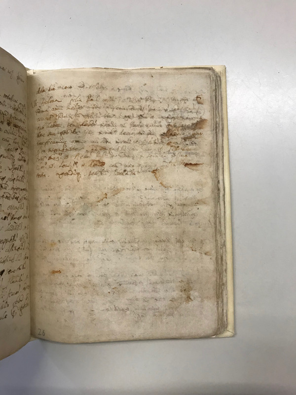 F.315_2596:1B