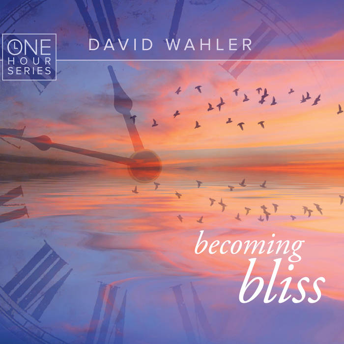 a0665418812 16 - David Wahler - Becoming bliss (One hour series) (2016)