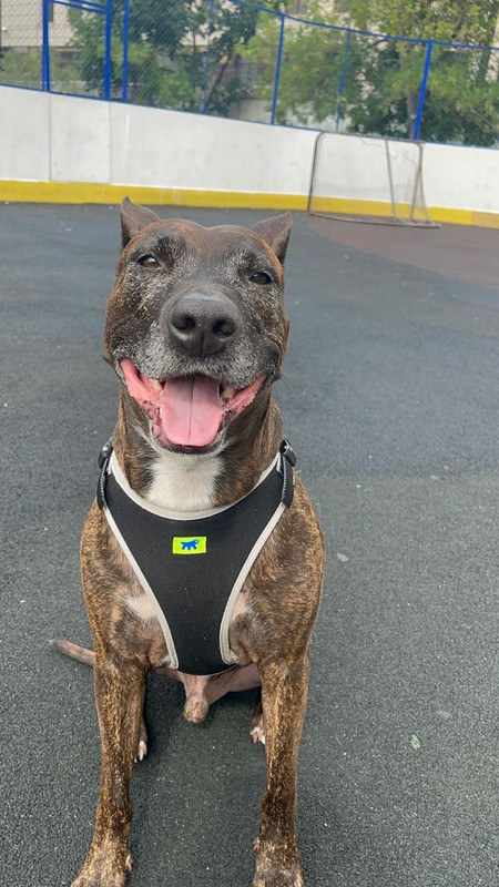 F8AA23C0-72F8-49B5-959C-D4F3B69DB253