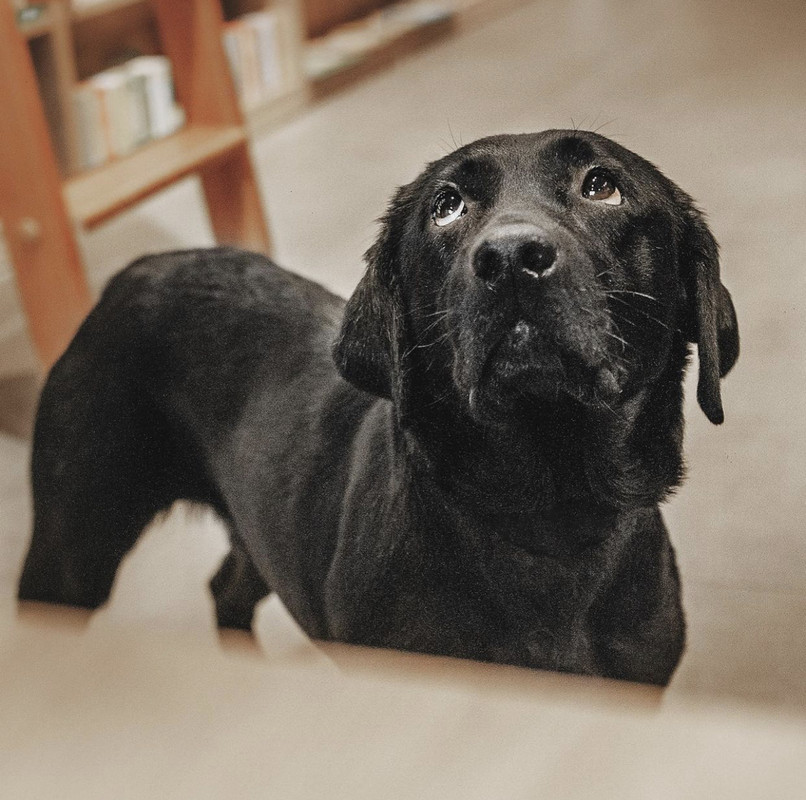 C8559A36-2D44-4337-A8B7-DEFF939C0760