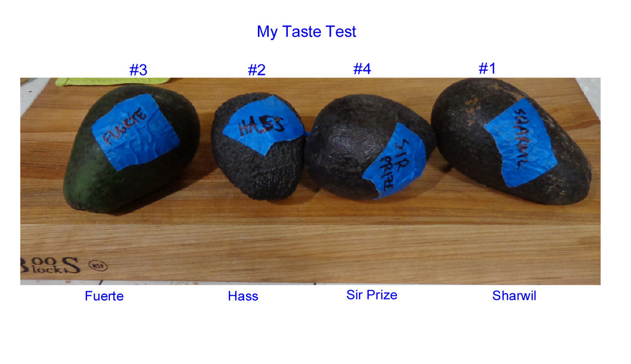 Brad-Combo (Hass-Sir Prize-Fuerte-Sharwil)10