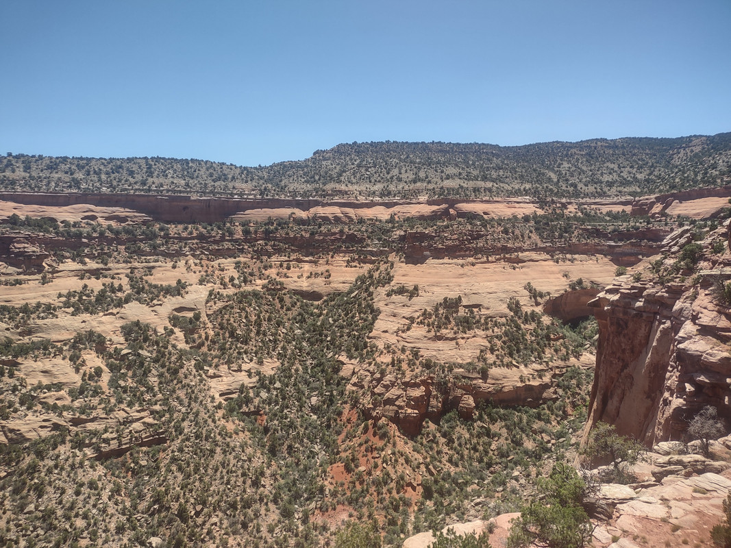 IMG_20250620_140506456_HDR