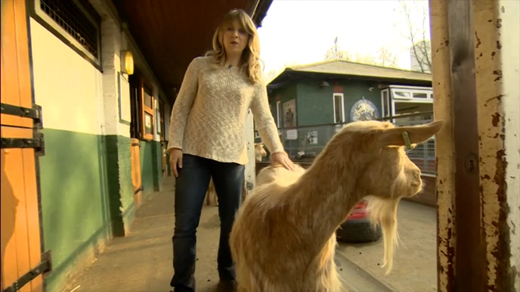 BBC London News_20220324_18301900.ts_snapshot_25.12.228