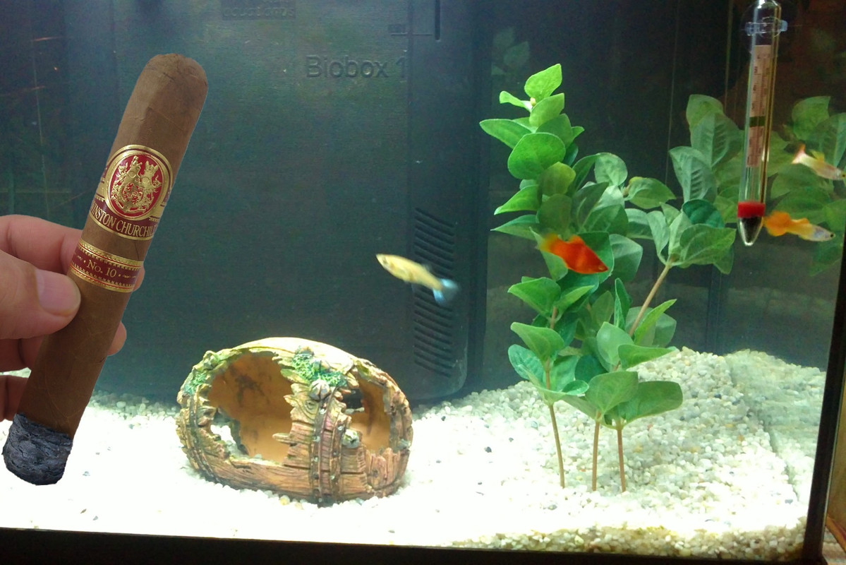 Winston-Churchill-No-10