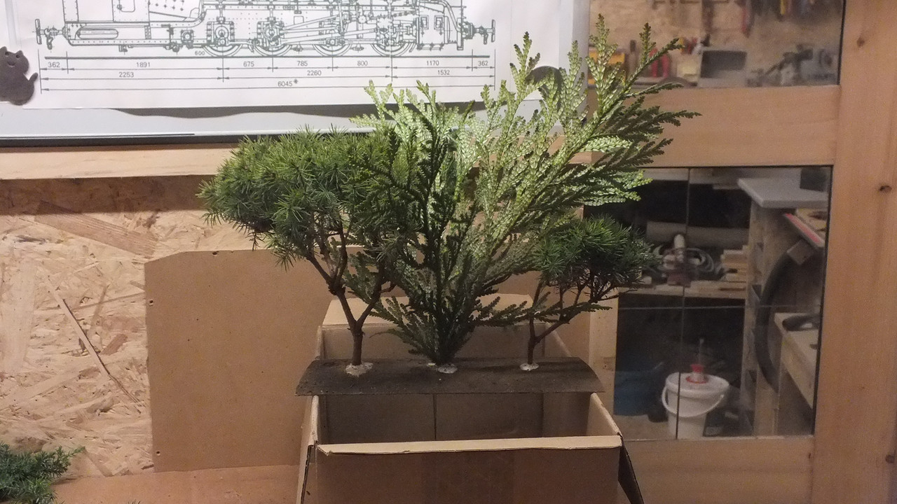 Gehölzrand für Module (31)