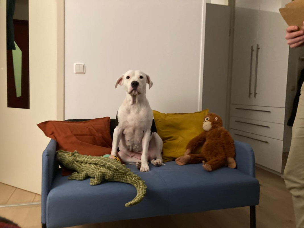 217BB509-BC3C-4741-9DDC-6905CDD6107F