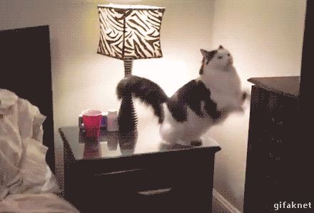 https://i.postimg.cc/65HhzWgk/3.gif