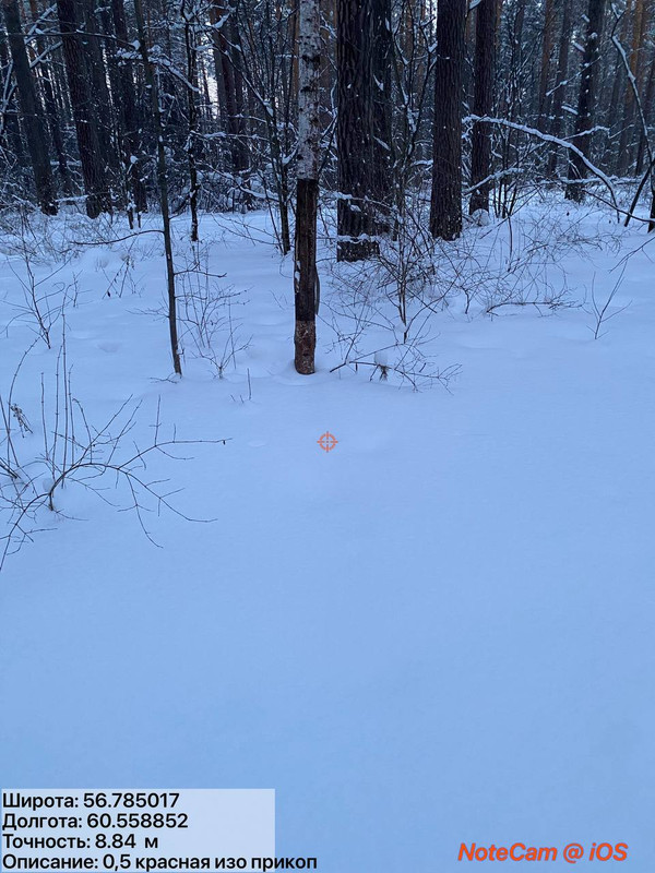 photo 24 2026 03 04 20 12 11