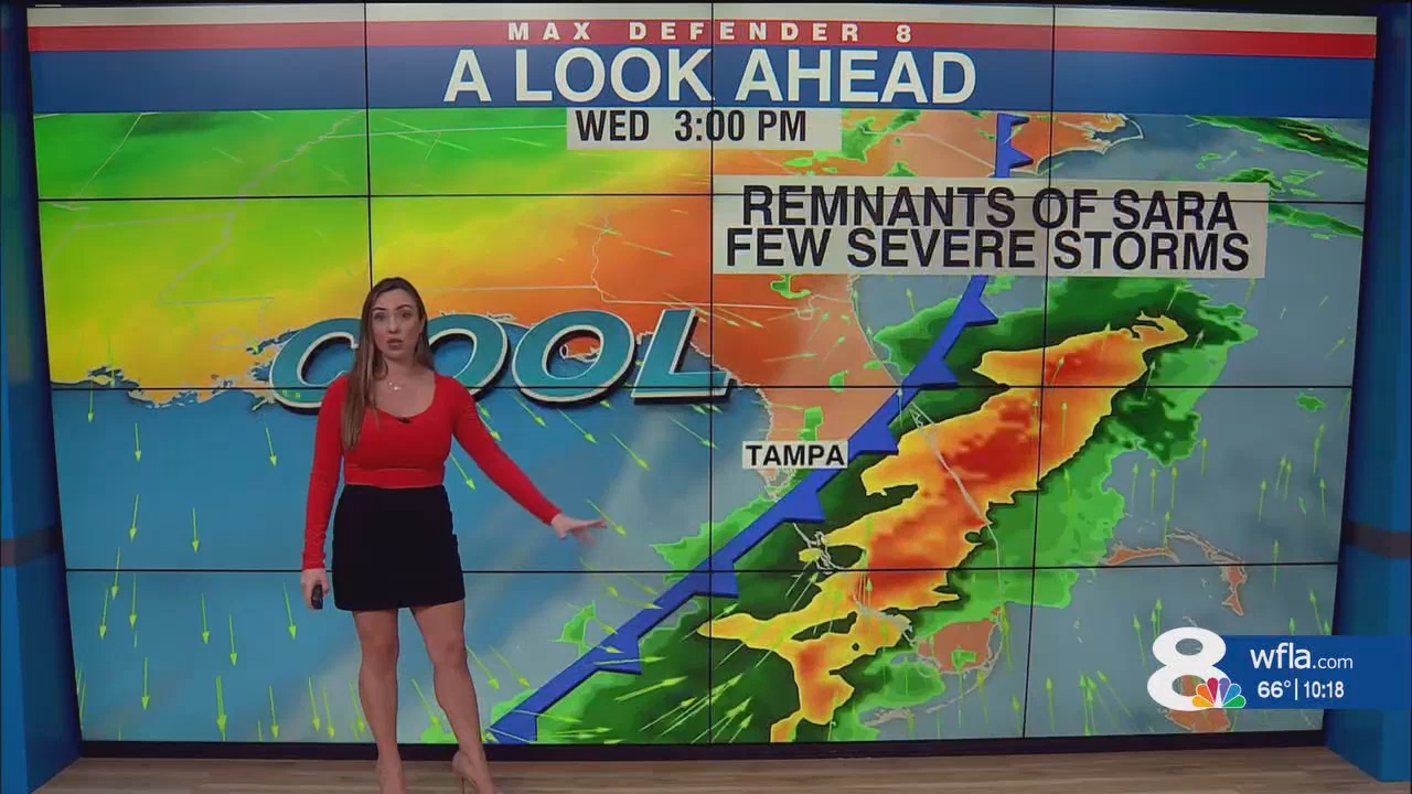 NewsChannel 8 News at 1000pm_20241116_03000330.ts_snapshot_19.23.793