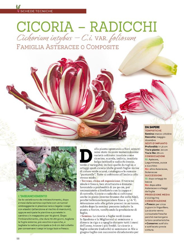 Orto Facile - Il Mio Orto Pratico - Feb-Mar 2024 (7)