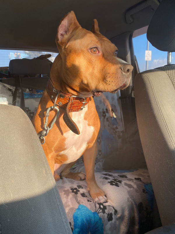 E42F4722-AC5C-40E2-BD64-1630D356874C