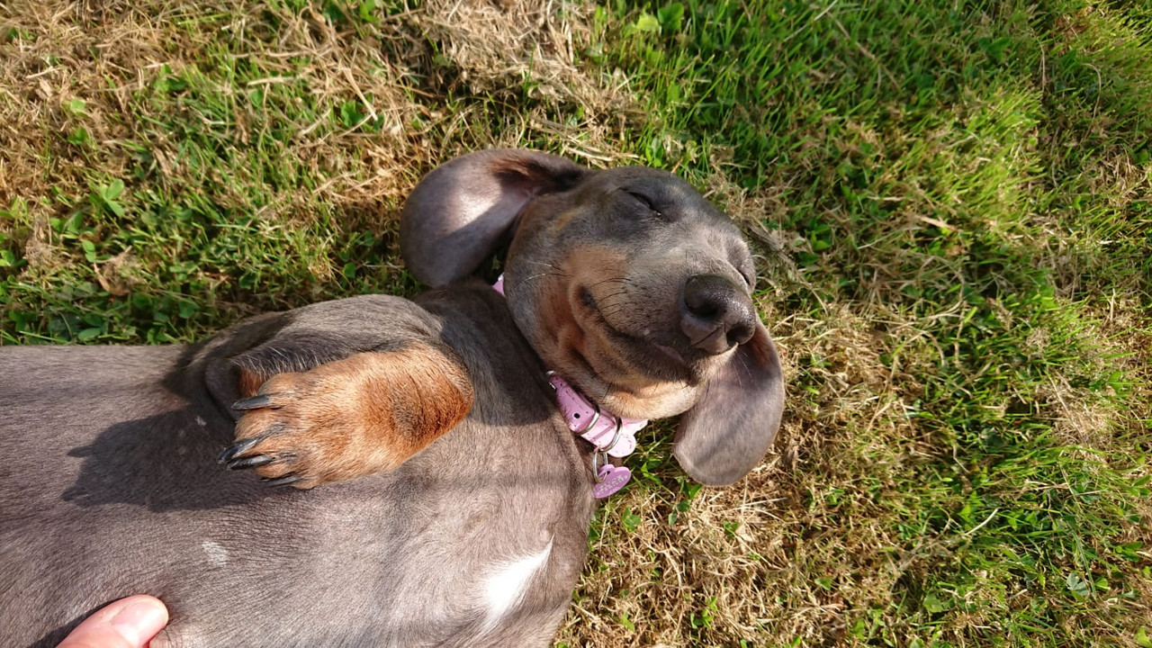 [Image: IMG-20240921-WA0001.jpg]