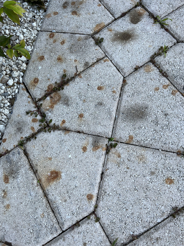 747E45C2-1893-4D74-93D7-9D5EE68DAE75