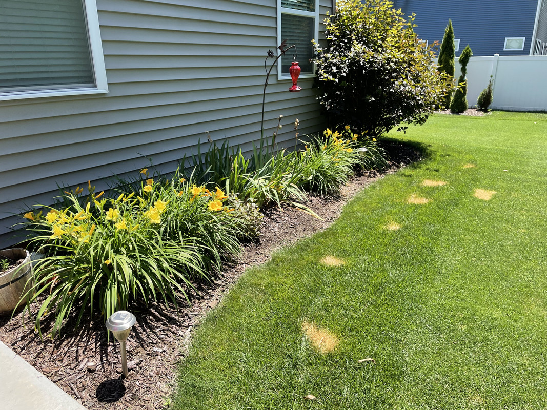 2EB029CE-7045-4BCB-926F-B3266672F395