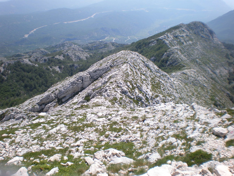 Picturevela luka 402