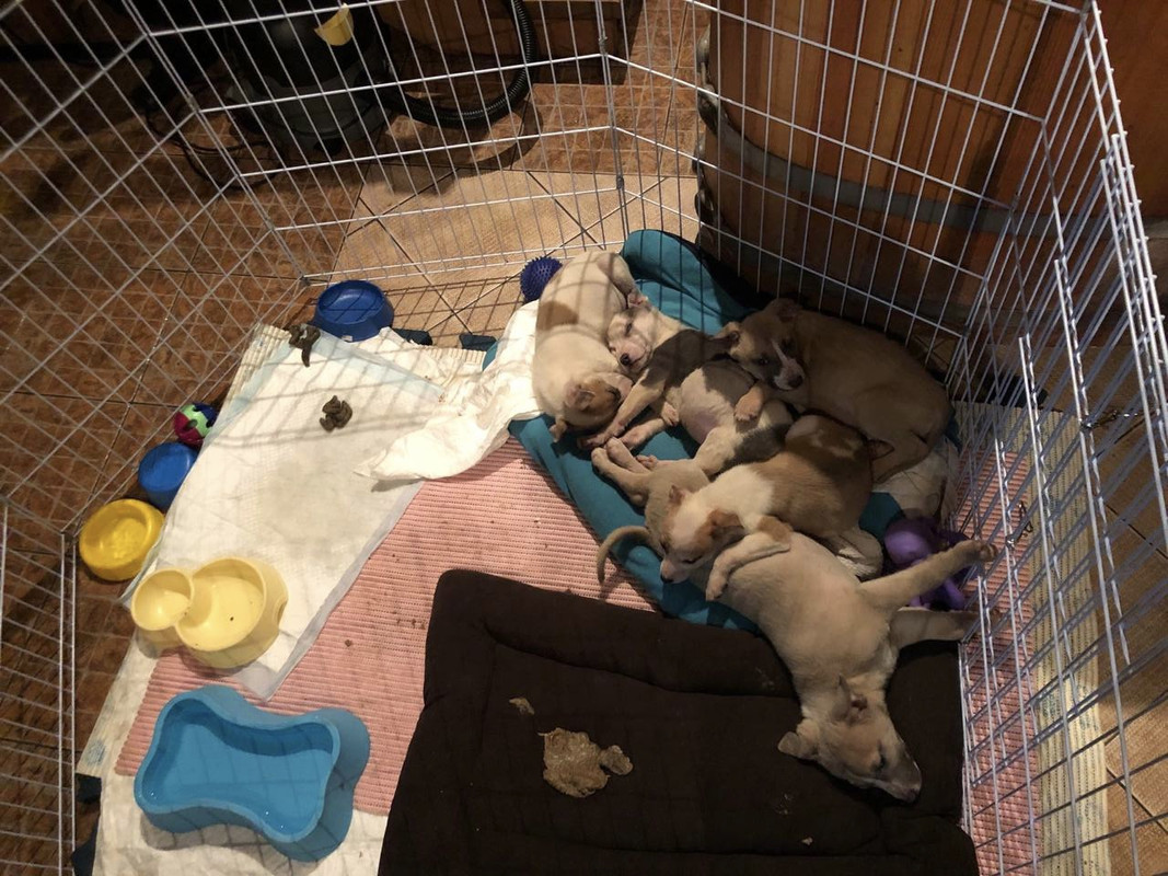 76EB735C-A31C-43EF-B4D9-E4C0361F94F3