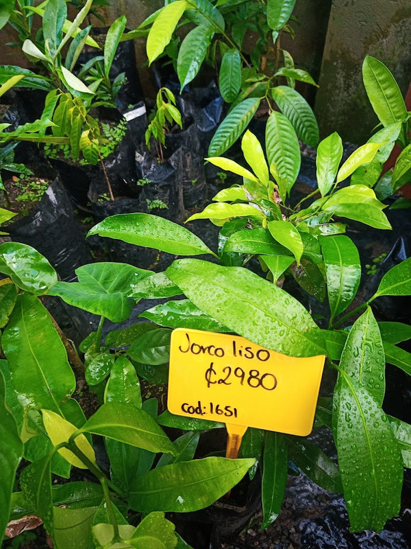 IMG_20221124_162046_143