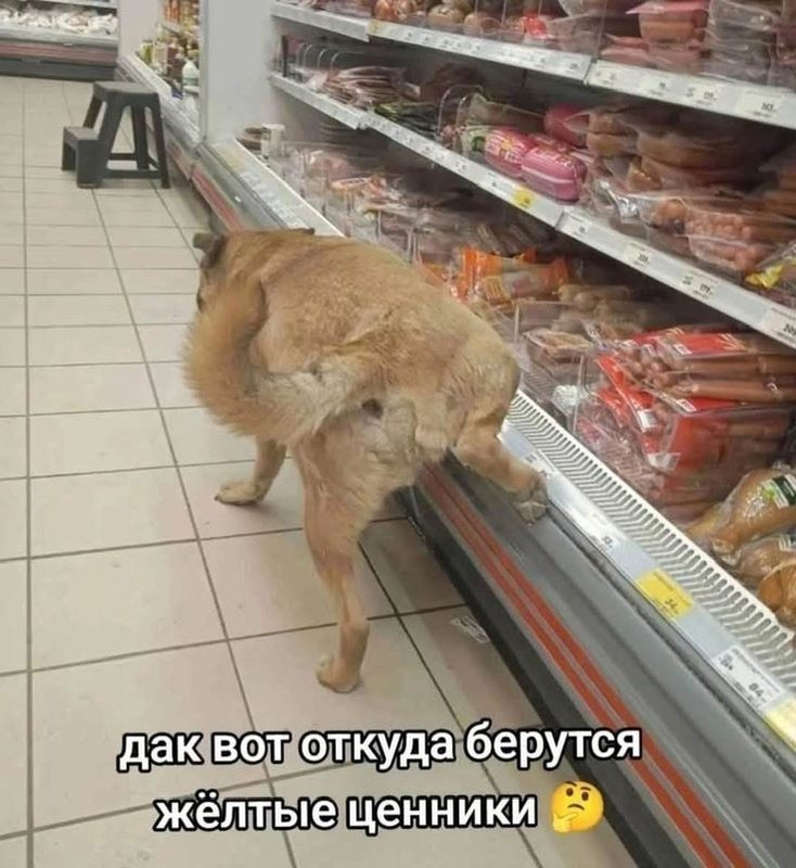 [Изображение: photo-2025-02-02-12-15-06.jpg]