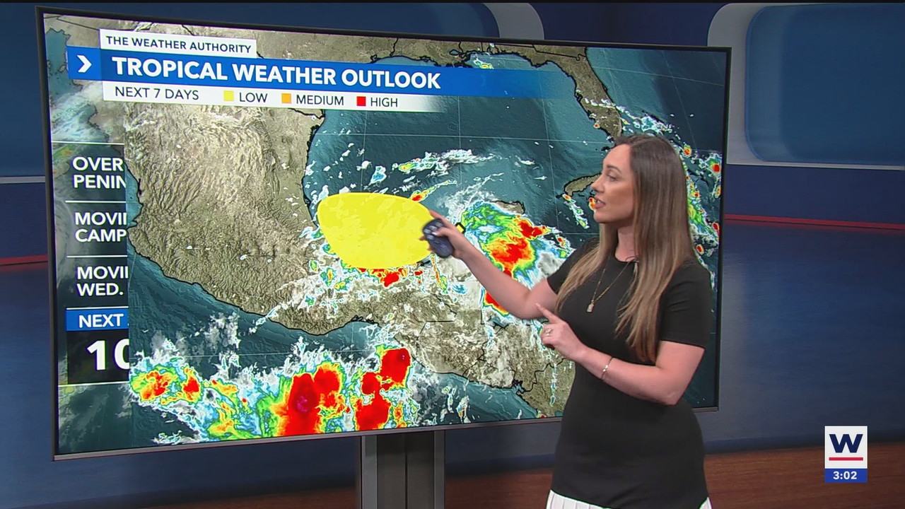 10.07 - 20.00.00 - WINK News at 3pm  ᴺᵉʷ. Stay informed with the late....ts_snapshot_00.02.47.387